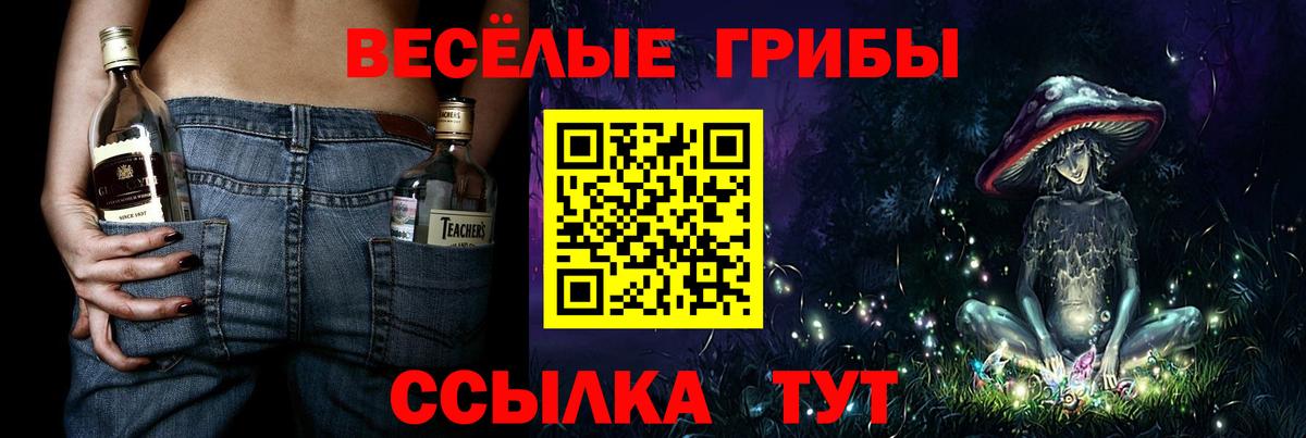 Псилоцибиновые грибы мицелий  Вход с VPN  Каменск-Уральский 